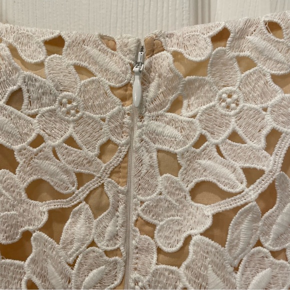 Ann Taylor LOFT Lace Dress - Picture 5 of 12